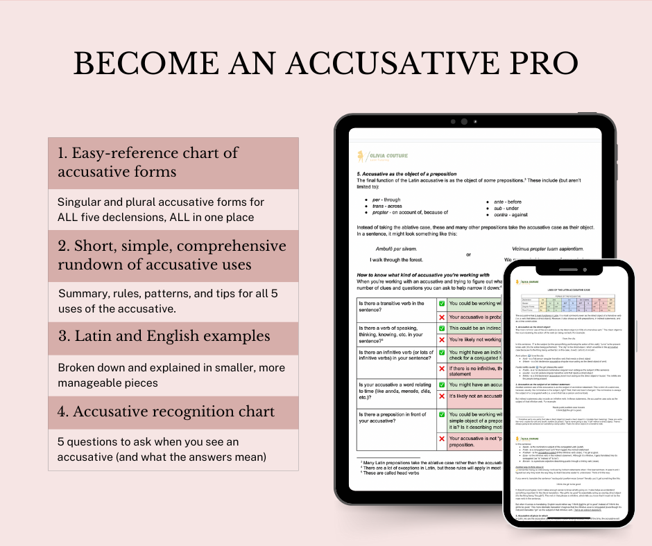 Uses of the Latin Accusative