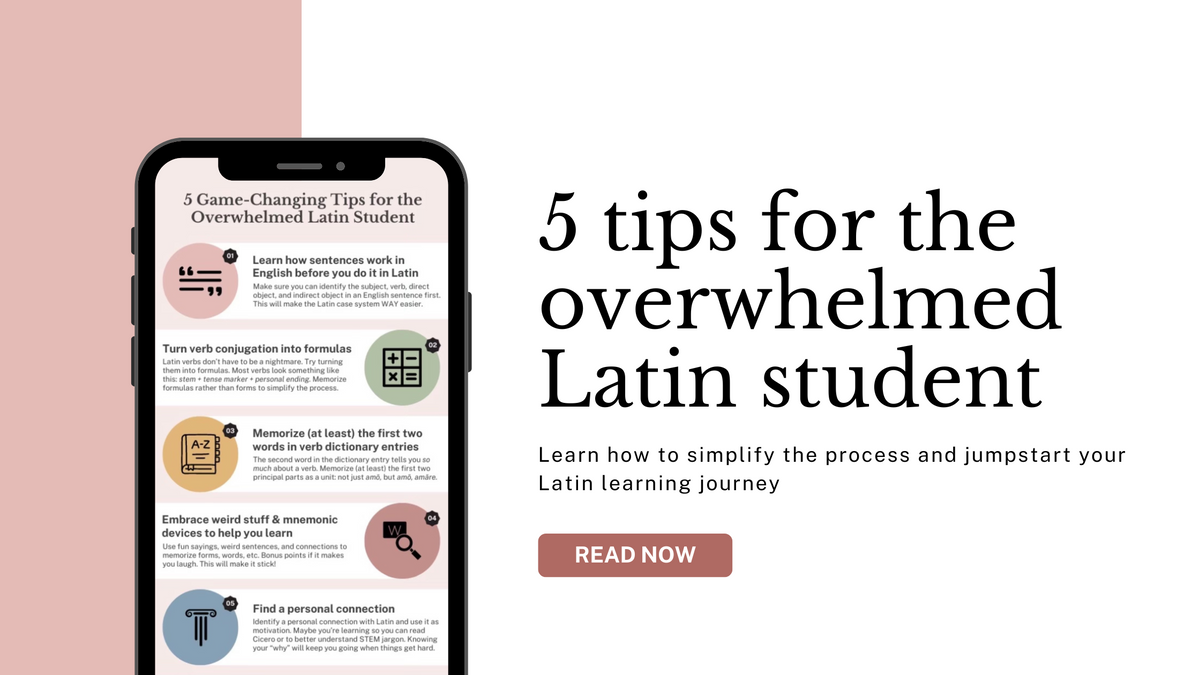 5 Tips for the Overwhelmed Latin Student – Olivia's Learning Corner
