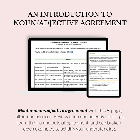 Your Guide to Latin Noun/Adjective Agreement